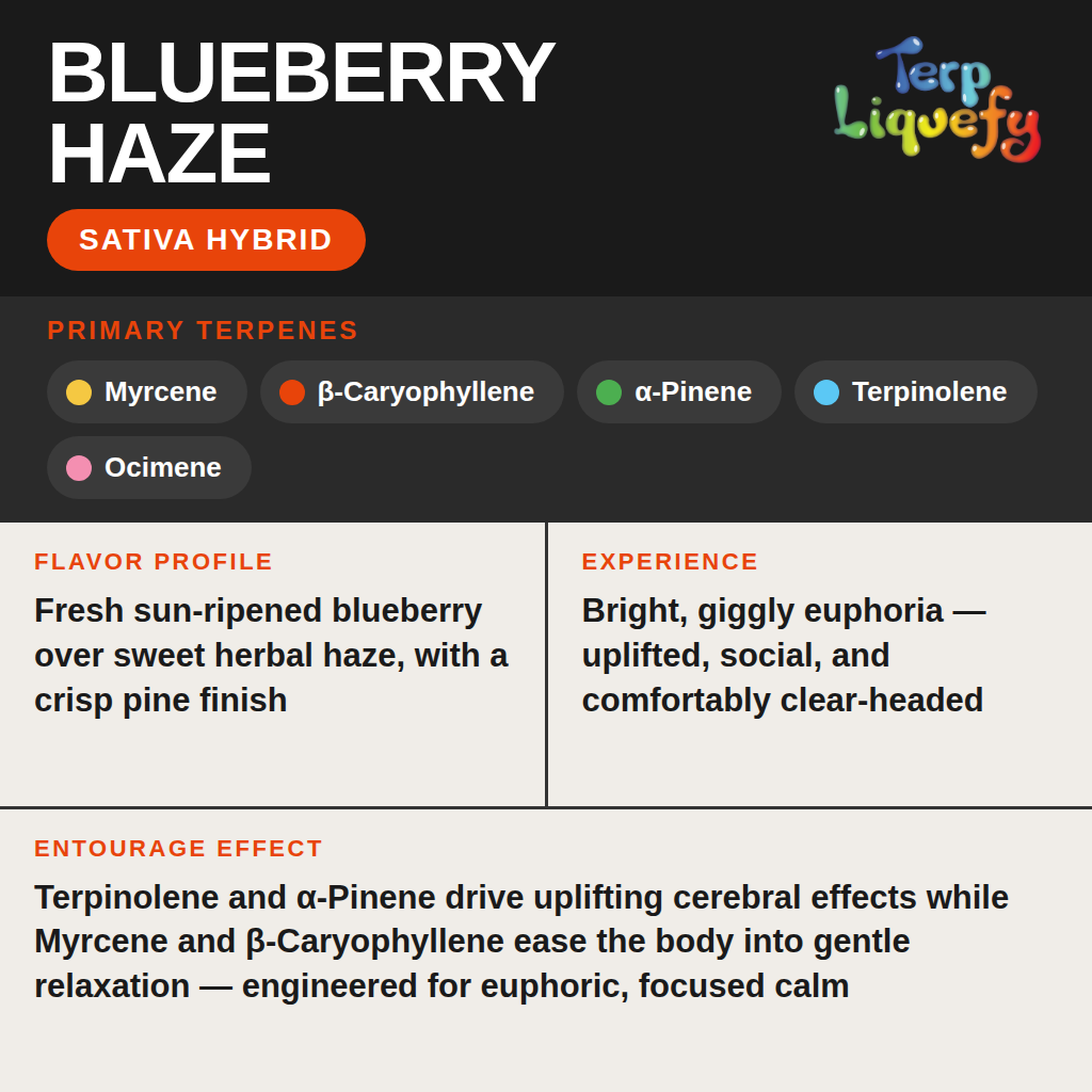 Terp Liquefy - Blueberry Haze