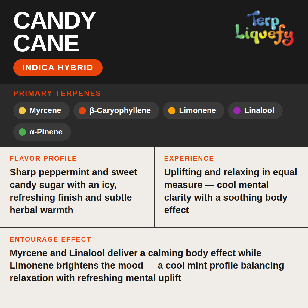 Terp Liquefy - Candy Cane