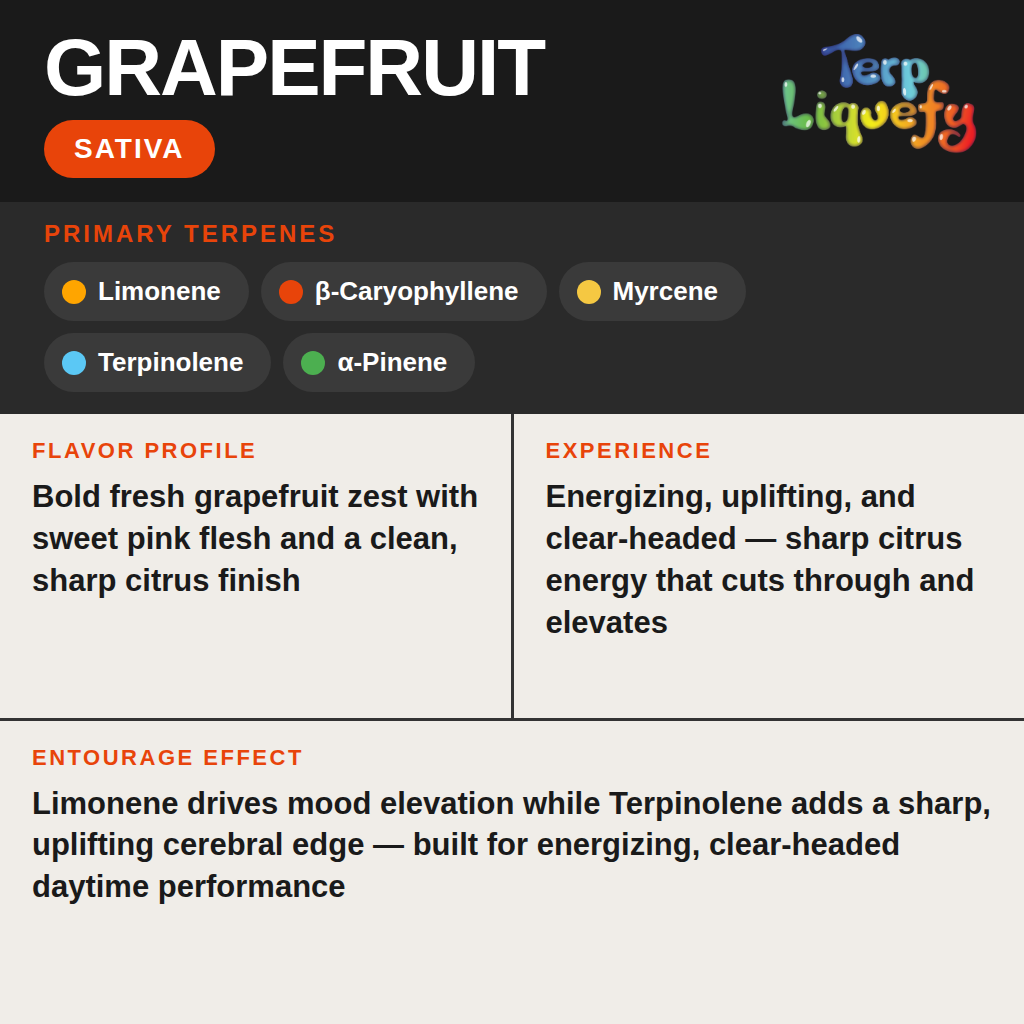 Terp Liquefy - Grapefruit