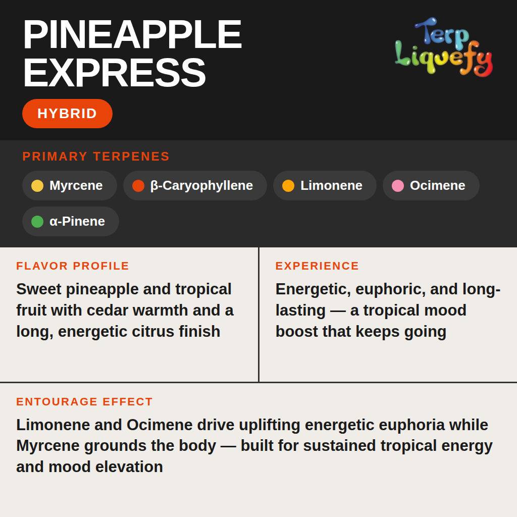 Terp Liquefy - Pineapple Express