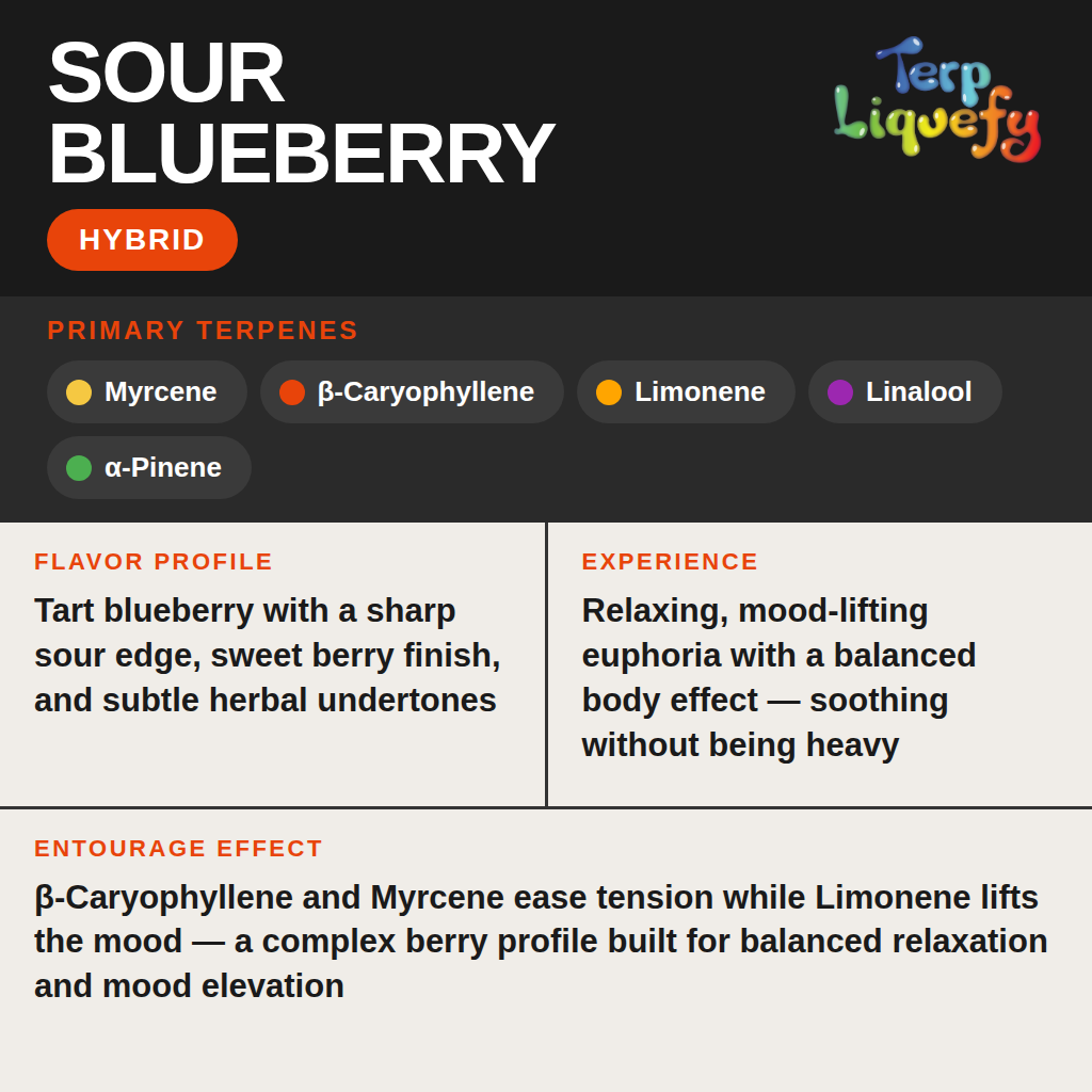 Terp Liquefy - Sour Blueberry