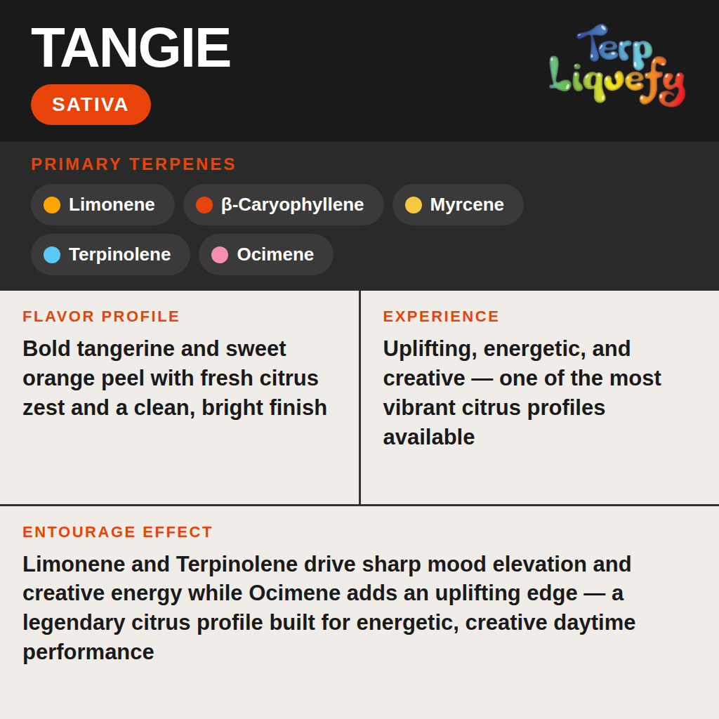 Terp Liquefy - Tangie