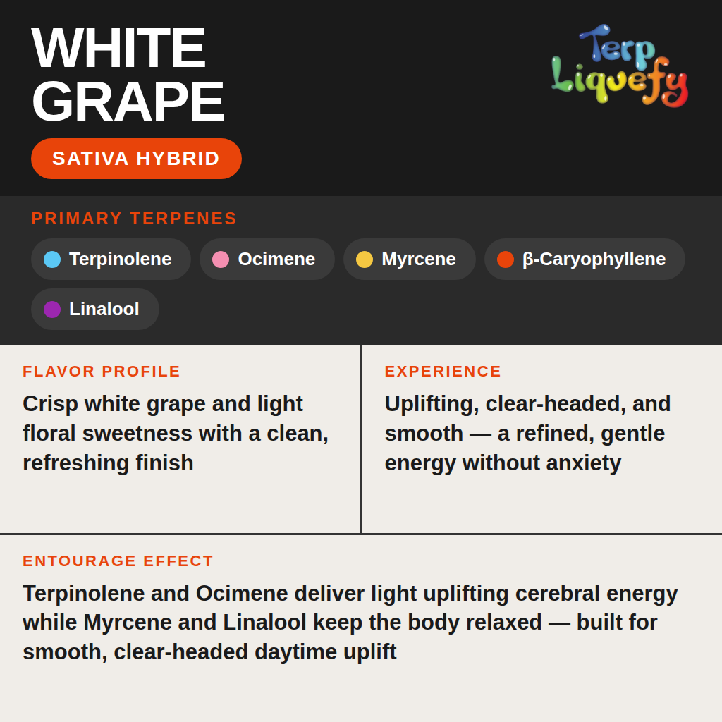 Terp Liquefy - White Grape